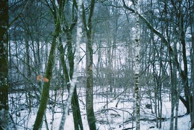 Showcase photo thumbnail 5 of 5